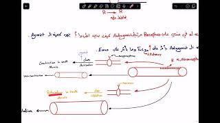 Pharmacodynamics 2 part 3 [upl. by Hutson]