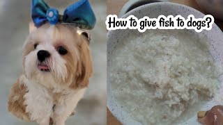 Dog fish food🐕 how to feed fish to dogs❓️🤔 dog cooking trending viralvideo [upl. by Nolrac866]