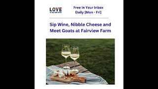 Sip Wine Nibble Cheese and Meet Goats at Fairview Farm [upl. by Onil]