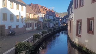 Annweiler am Trifels  Пфальцская Венеция  удивительный старинный лесной городок RheinlandPfalz [upl. by Ragan]