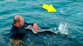 Diver Saves Tiny Dolphin Calf Unaware of the Terrifying Secret Lurking Nearby [upl. by Nauquf244]