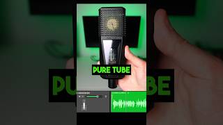 Recording VOCALS With The LEWITT PURE TUBE Microphone [upl. by Cavanagh217]