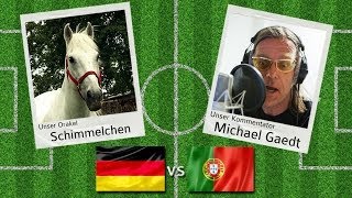 Fußball WM Orakel quotSchimmelchenquot DeutschlandPortugal wwwpferdemagazininfo [upl. by Revart545]