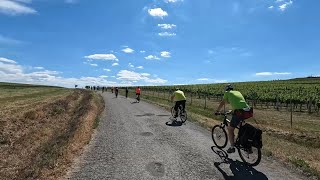 Under the Tokaj Sun  cycling in Tokaj wine region Slovakia [upl. by Beghtol435]