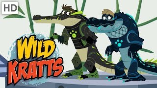 Wild Kratts 🐊 Alligators vs Crocodiles  Kids Videos [upl. by Anayrb]