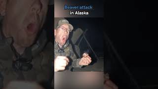 Beaver attack in Alaska [upl. by Nodababus]