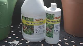 Using Alaska Fish Fertilizer To Grow Healthy Vigorous Plants [upl. by Huskamp805]