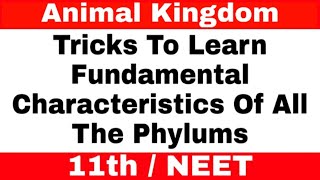 Tricks To Learn Fundamental Characteristics Of All The Phylums Of Animal Kingdom [upl. by Eeb]