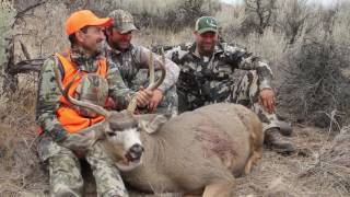 Okanogan Valley WA Mule Deer quotReap the Harvestquot [upl. by Nylatsyrk]