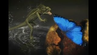 Basilisk lizard runs on water to catch a butterfly CCTV English [upl. by Rosina]