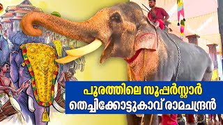 Thechikkottukavu Ramachandran പൂരത്തിലെ സൂപ്പർസ്റ്റാർ  Thrissur Pooram 2023 [upl. by Irpak]