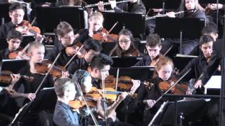 Ottawa Youth Orchestra  Swan Lake No 8 Mazurka [upl. by Marc873]