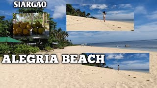 SIARGAO TRAVEL 2024PART 2TAKTAK FALLS ALEGRIA BEAUTIFUL WHITE SAND BEACH [upl. by Neenwahs]