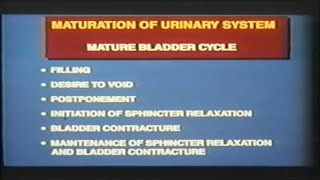 Urodynamics and Bladder Stimulation in Pediatric TM Patients [upl. by Necaj363]