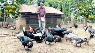 ANCIANO DE 83 AÑOS así vive en un CAMPO llamado JAYA bonito [upl. by Gunn]