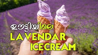 OOTTYS LAVENDAR ICE CREAM❗Foodie Sha [upl. by Kcirddor]