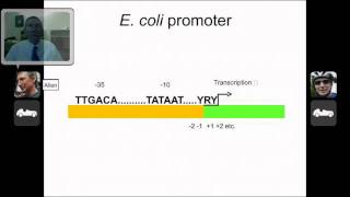 Prokaryotic Transcription and Promoters [upl. by Inaja]