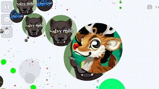 DUO DESTROYING SAVAGE CLAN 🤬 AGARIO MOBILE [upl. by Norris]