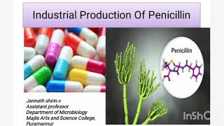 Penicillin productionIndustrial MicrobiologyFermentationRecoveryAntibiotic [upl. by Elesig]