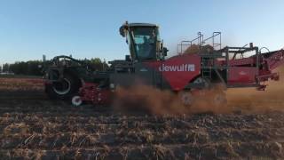 APH Field equipment Dewulf RA 4060 potato harvester [upl. by Biles]