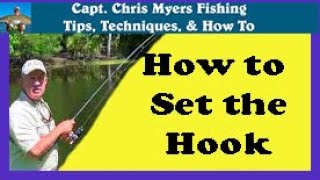 How to set the hook when fishing and catch more fish [upl. by Arymahs]