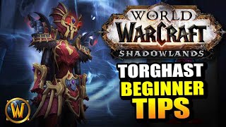 10 Beginner Tips for TORGHAST  World of Warcraft Shadowlands [upl. by Ahsimik998]