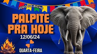 PALPITE DO DIA 12062024  JOGO DO BICHO 🍀 TODAS AS LOTERIAS 🍀 [upl. by Oos]