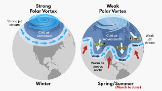 Polar Vortex  How its formed amp When it is dangerous  Indepth Explained [upl. by Leirbag239]