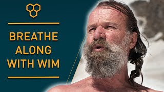 Breathe Along with Wim Hof  Guided Breathing [upl. by Legyn]