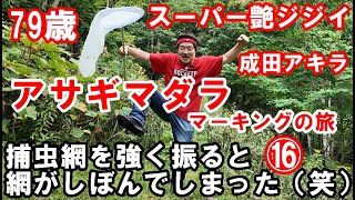 アサギマダラ・マーキング⑯日産セレナ車中泊・ヨツバヒヨドリ群生地・捕虫網の改良・成田アキラ漫画家） [upl. by Niel]