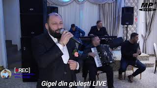 Gigel din giulesti  live 2022 [upl. by Roseanne]