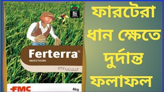 26 July 2020 ferterra insecticide fmc ferterra insecticide ফারটেরা কীটনাশক ফারটেরা প্রয়োগ । [upl. by Rellim]