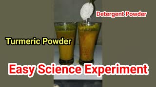 Turmeric Powder Detergent Powder Experiment  Easy Science Experiment For Students [upl. by Alleciram965]