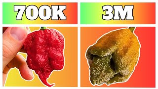 Top 10 Spiciest Peppers on the Scoville Scale 🌶️ [upl. by Airlia]