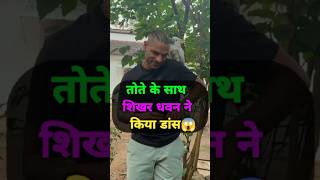 Shikhar Dhawan Ne Tote ke sath kya dance dance shortsfeed shorts parrot panjabi viralvideo [upl. by Anohr444]