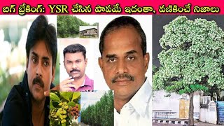 High Alert to AP ముందుచూపు లేకుండా Doctor అయిన YSR ఇలా ఎలా Pawan Kalyan ఆఘమేఘాల మీద🤔 SivaPrasad [upl. by Marv]