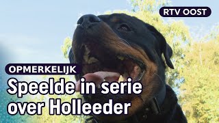 Hond Hummel uit Oldenzaal speelt mee in bioscoopfilms  RTV Oost [upl. by Zarla344]