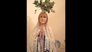 Offer the Hawthorn leaves to Mary Immaculate [upl. by Suolevram]