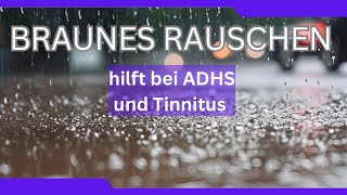 Wie dir Braunes Rauschen bei Tinnitus ADHS einschlafen und lernen helfen kann  2 [upl. by Tekcirc525]