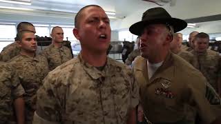 Marine Drill Instructors DESTROYING Recruits [upl. by Esemaj]