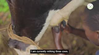 Dairy Farming in Kalangala District [upl. by Chuck]