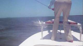 Tarpon Fly Fishing  Crazy Jumping Fish [upl. by Yznyl]