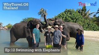 Swimming with Elephants [upl. by Aveer]