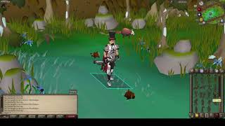 OSRS Red chinchompas at lvl 99 hunter [upl. by Sesom]