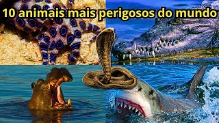 10 Animais Mais Perigosos do Mundo [upl. by Aihsotal]