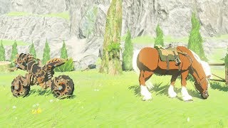 Master Cycle Zero Vs Epona Whos Faster Zelda Breath of the Wild [upl. by Lauber]