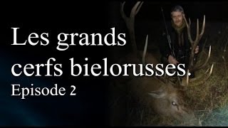 Les grands cerfs biélorusses Episode 2 [upl. by Winfield355]