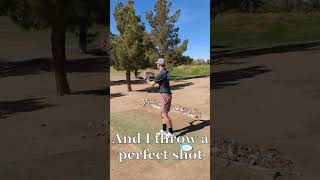 The quotPerfectquot Disc Golf Throw  Wildhorse Golf Club  Infinite Course Hole 13  Las Vegas shorts [upl. by Aibos449]