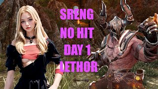 Vindictus4K Sreng Solo No Hit Lethor Day 1 [upl. by Pillihpnhoj257]