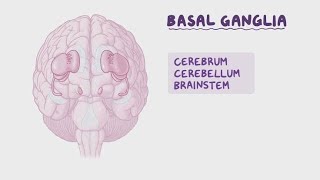 Basal GangliaCorpus StriatumVery Easy [upl. by Minica]